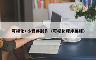 南漳可视化+小程序制作（可视化程序编程）